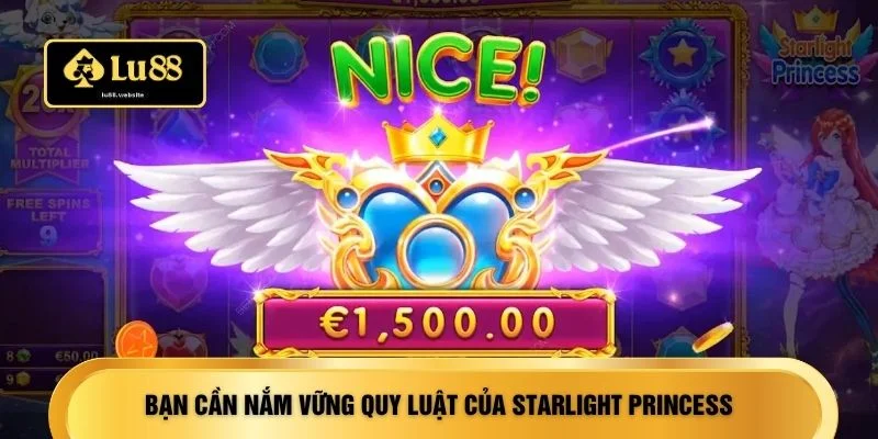 Bạn cần nắm vững quy luật của Starlight Princess