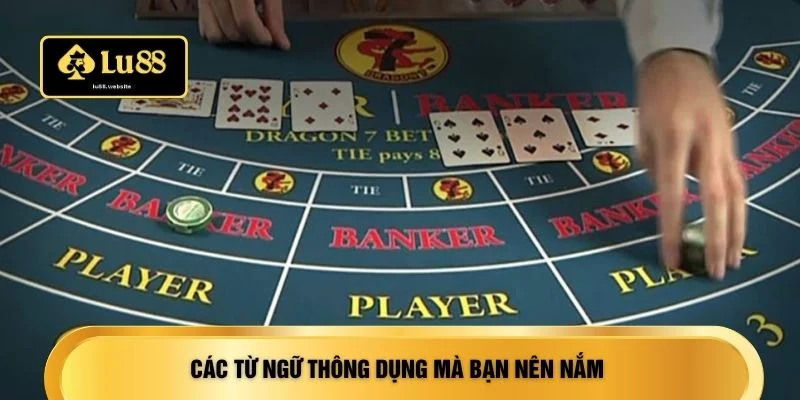 Các từ ngữ thông dụng mà bạn nên nắm