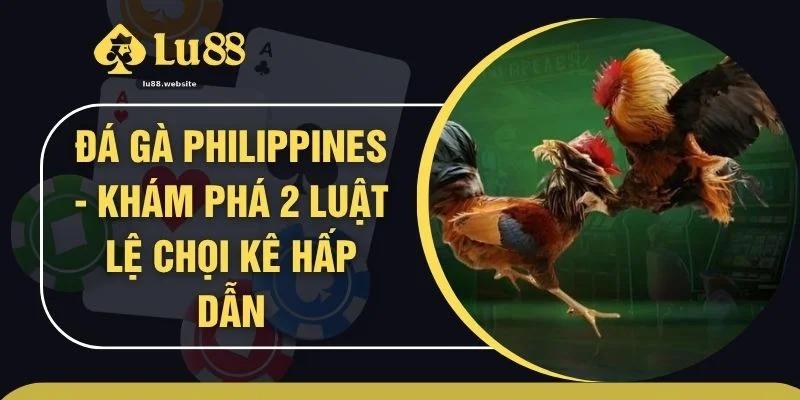 Đá Gà Philippines - Khám Phá 2 Luật Lệ Chọi Kê Hấp Dẫn