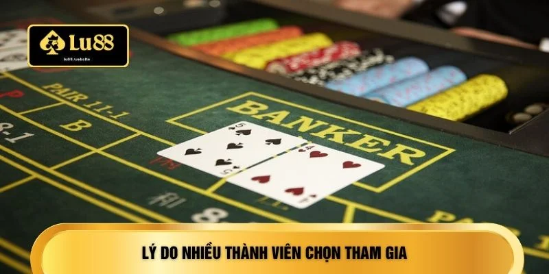 Lý do nhiều thành viên chọn tham gia