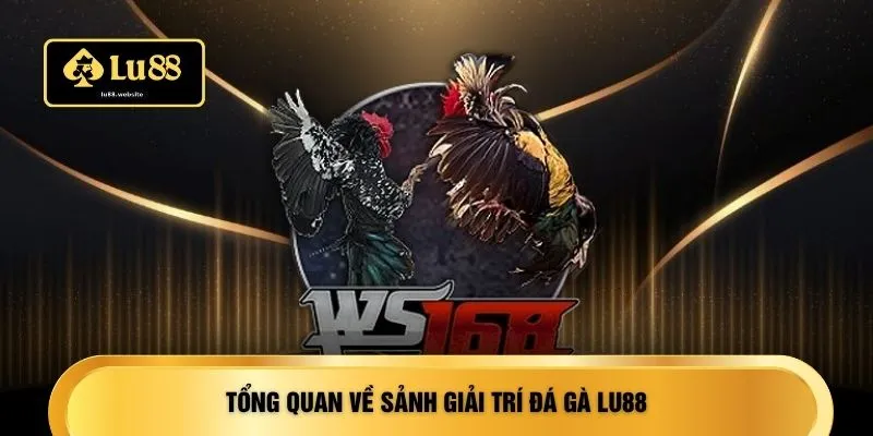 Tổng quan về sảnh giải trí đá gà LU88