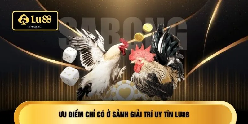 Ưu điểm chỉ có ở sảnh giải trí uy tín LU88